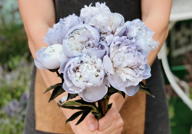 "Фейковый букет за доступ к данным": мошенники вновь начали массово разводить россиян перед 8 Марта