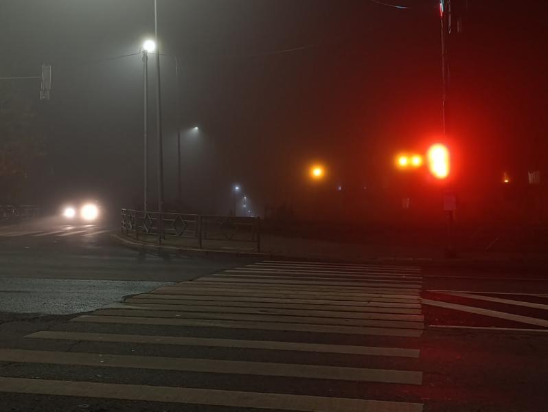 Самарскую область 14 ноября вновь накроет туман