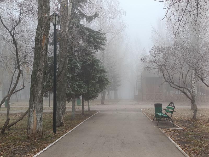 16 октября в Самарской области будет туманно
