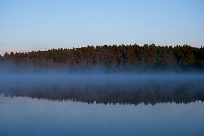 Название статьи