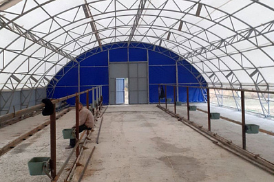 Фермер из Приволжского района получил грант на развитие хозяйства