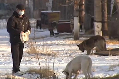 В регионе могут построить областной ветцентр