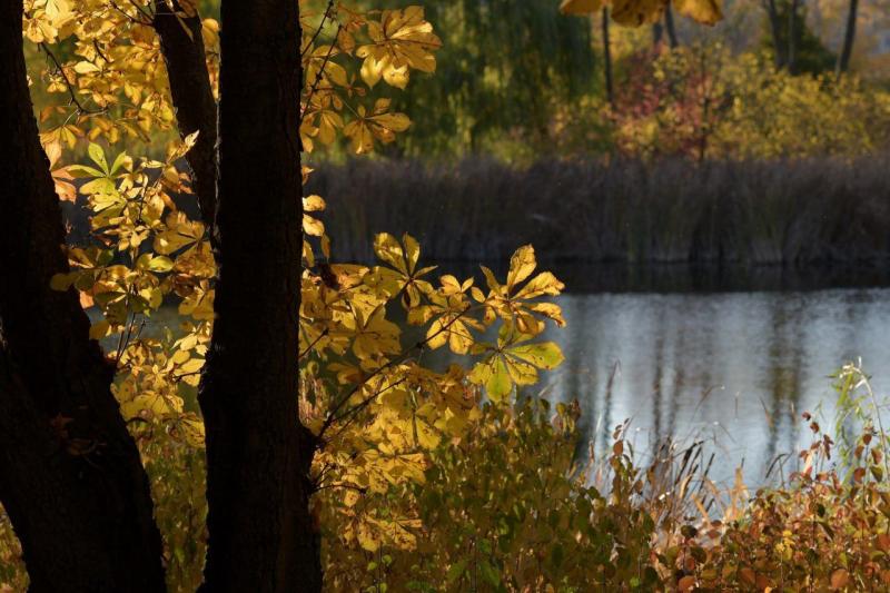 В Самаре на следующей неделе столкнутся жаркое лето и прохладная осень