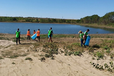 В Алексеевском районе ликвидируют пять незаконных свалок