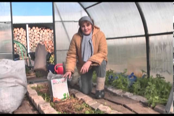 Дачные советы 24.10.2013 