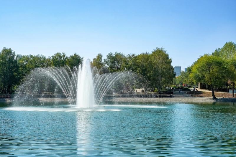 Химик Андрей Дорохов рассказал, почему не стоит купаться в фонтанах в День ВДВ