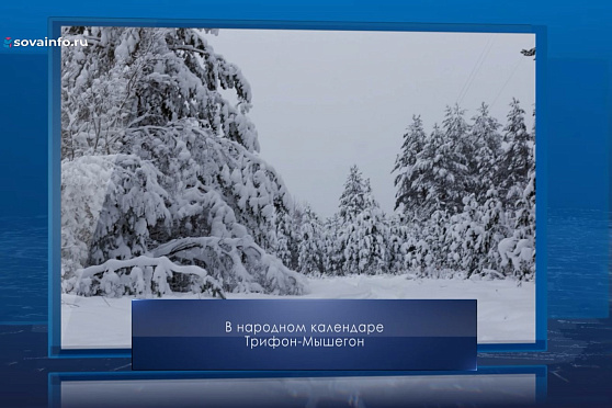 Трифон-мышегон. Календарь Губернии от 14 февраля