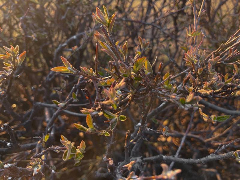 В Самарской области апрельское пекло побило 5 температурных рекордов