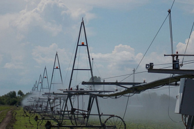 В Самарской области действуют более сорока мер поддержки сельхозпредприятий и хозяйств