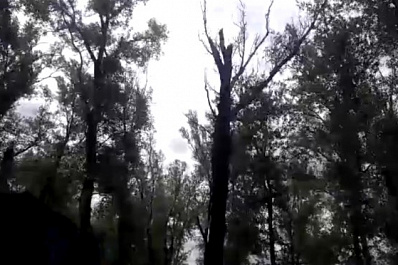 С экс-главы Богатовского района взыскали компенсацию за гибель шестилетнего мальчика