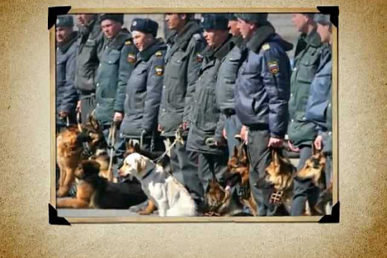 Календарь Губернии 14.11.2012