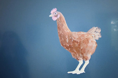 Название статьи