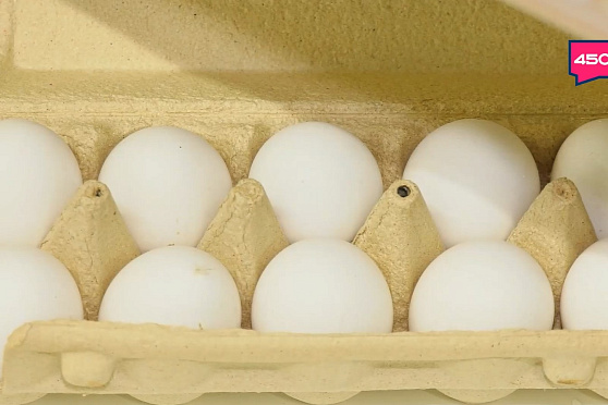 Полезные привычки. Школа здоровья