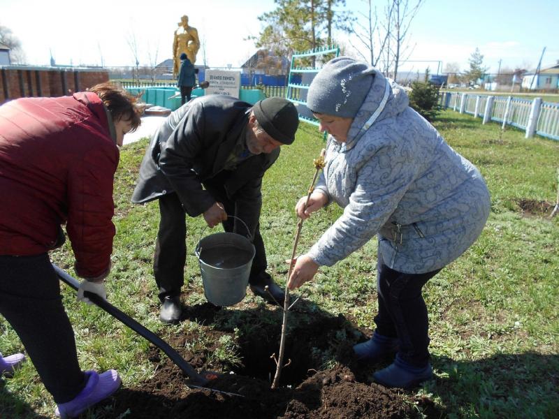 Приволжский район наградили региональной экологической премией 