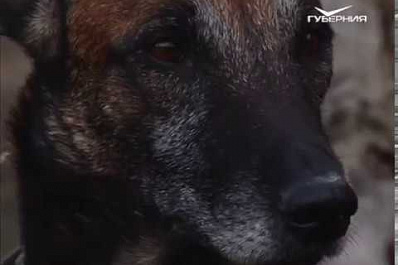 Бойцы спецотряда Гром рассказали самарским школьникам о борьбе с наркотиками