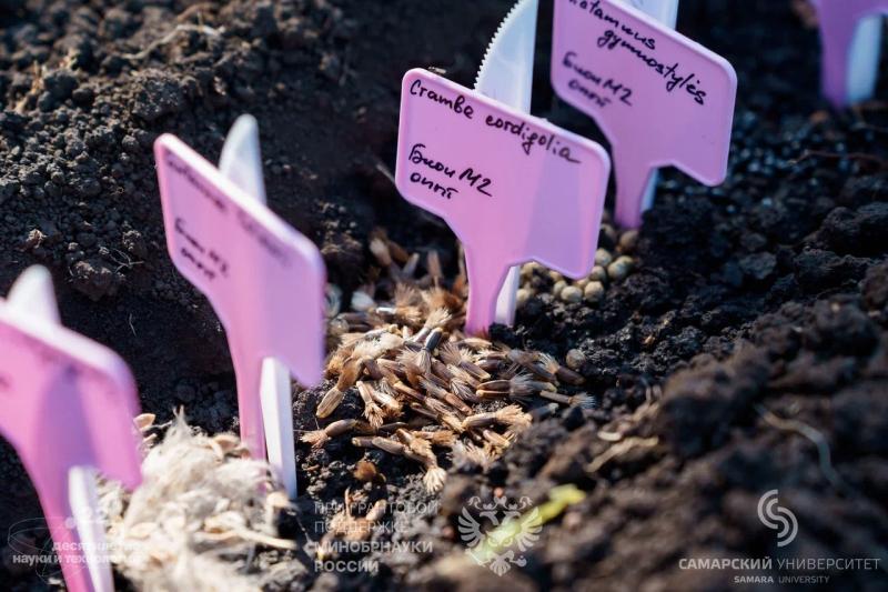Семена-космонавты "высадились" в Ботаническом саду Самары