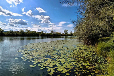 Погода на 24 августа 2025 года: народные приметы и прогноз синоптиков