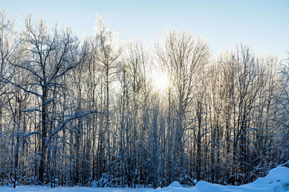 Название статьи