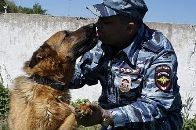 В Самарской области полицейским овчаркам нашли любящих хозяев