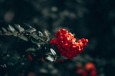 Народные приметы на 23 сентября 2025 года: что нельзя делать в этот день