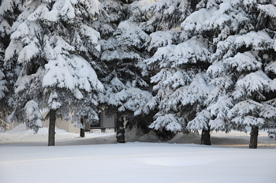 Снегопады продлятся в регионе до конца недели