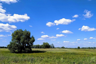 Название статьи