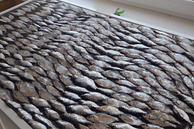 Житель Сызрани сделал из рыбы настоящий ковёр