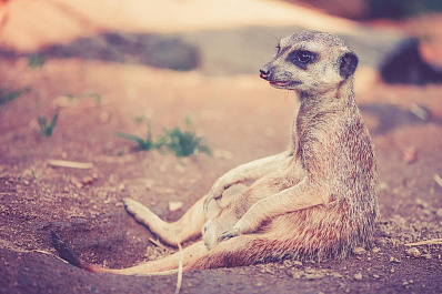 Жара в Самарской области на выходных установит новые температурные рекорды