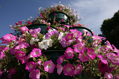 В Самаре ищут подрядчика для уборки и озеленения города