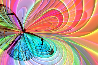 В Самарскую область вернулась траурница