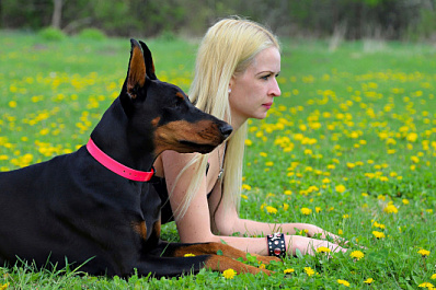 "Я гуляю с доберманом": по улицам Новосибирска ходила девушка в откровенном белье и с собакой