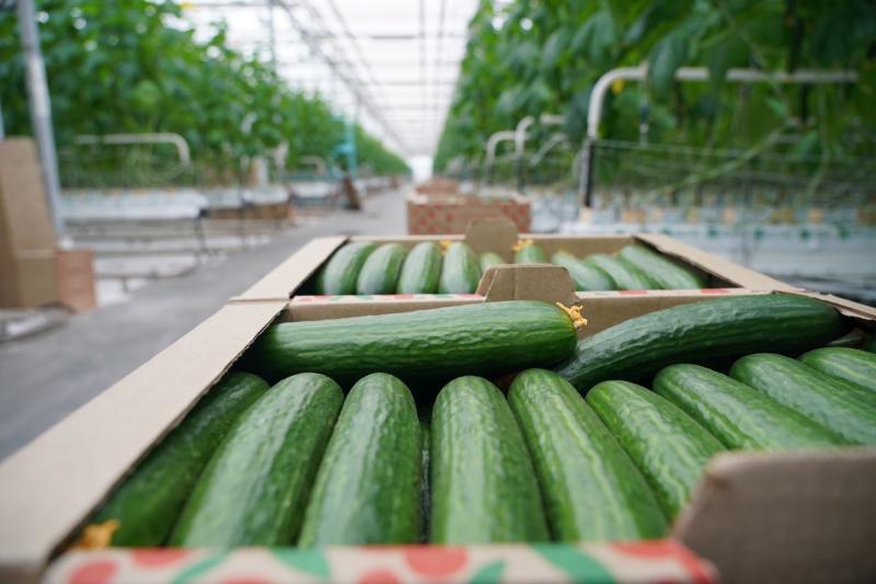 Народные приметы на 19 мая 2025 года: что нельзя делать в этот день