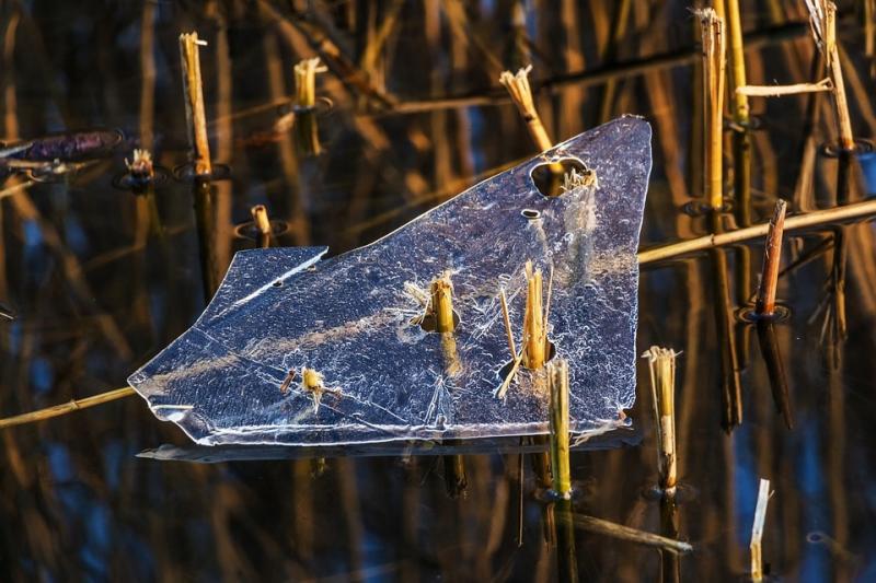 Жителей Самарской области ждут теплые выходные