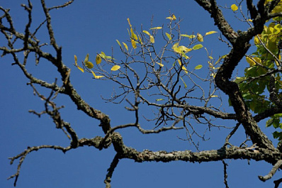 Стало известно, когда в Самарской области потеплеет до +20 градусов