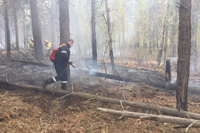 В Тольятти в городском лесничестве загорелся лес