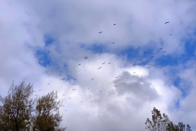 Народные приметы на 12 октября 2025 года: что нельзя делать в этот день