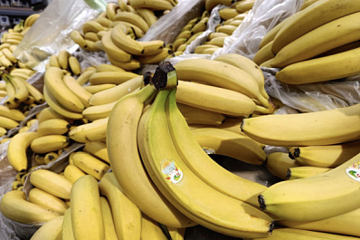 Как избежать набора веса осенью: советы нутрициолога