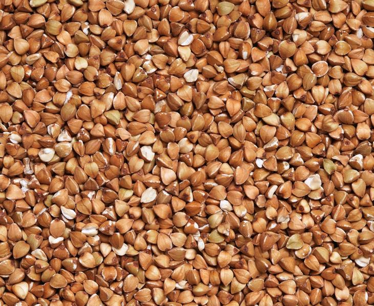 В Роспотребнадзоре опровергли информацию о запрете "солдатской каши" на 9 Мая