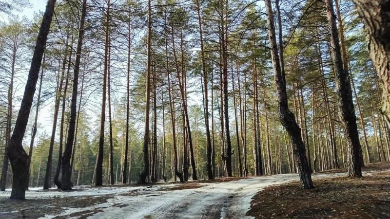 Погода на 23 марта 2025 года: народные приметы и прогноз синоптиков