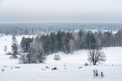 Еще 60 памятников природы региона под двойной защитой