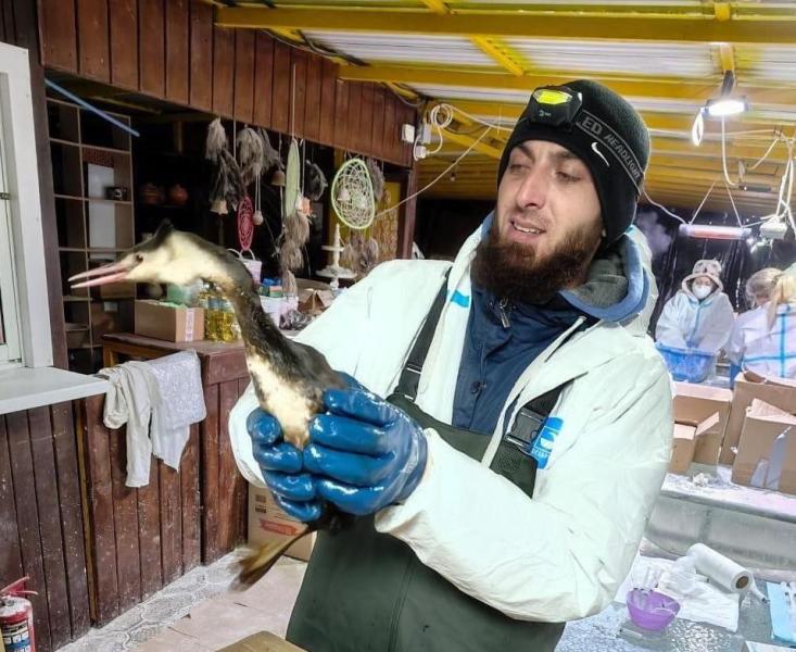 Волонтер из Сызрани рассказал об обстановке на Черноморском побережье