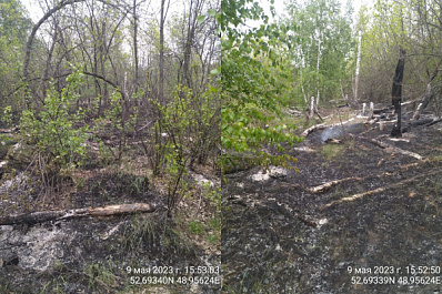 Любители шашлыков устроили пожар в лесу в Самарской области