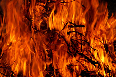 Хинштейн предложил наказание для поджигателя леса в Тольятти