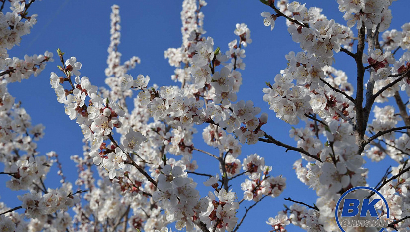 30 апреля в истории и архиве "ВК"