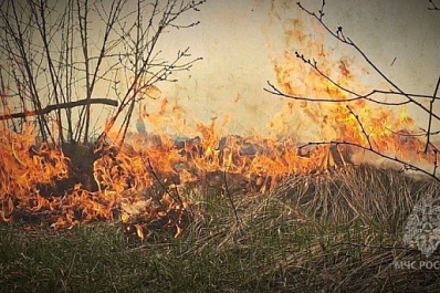 В Самарской области 3 июня вспыхнула сухая трава на 100 "квадратах"