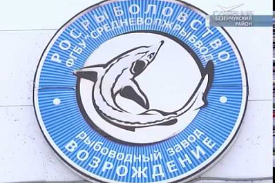 От Рыбозавода Возрождение к селу Екатериновка построят дорогу