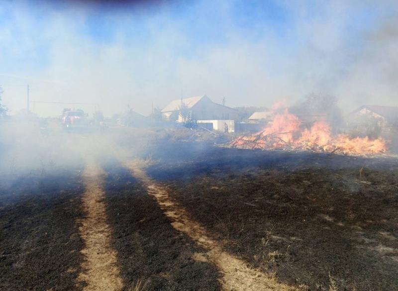 Могли пострадать жилые дома: в Самарской области горела трава на 2 000 кв. м