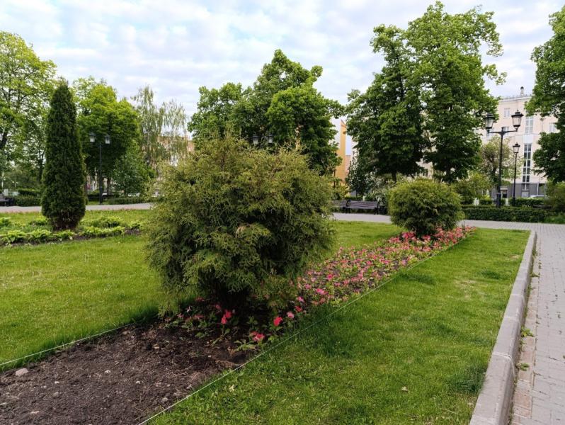 Самарцам объяснили, зачем поливают клумбы на улице Куйбышева в дождь