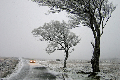 В Самарской области объявили желтый уровень погодной опасности из-за сильного ветра 