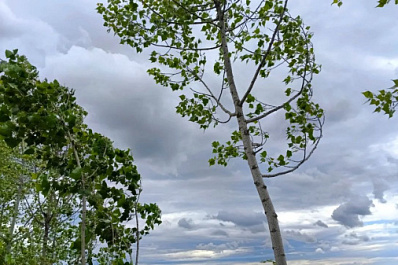 Народные приметы на 16 июня 2025 года: что нельзя делать в этот день